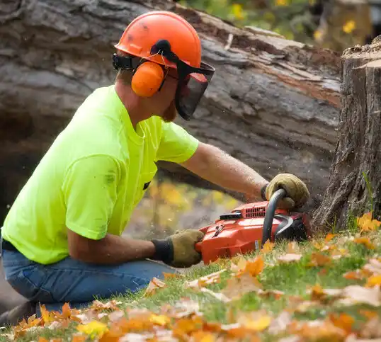 tree services Massapequa